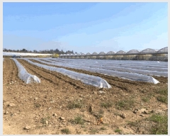  2025Ÿ��7738  �����