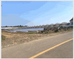  2025Ÿ��7738  �����