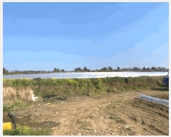  2025Ÿ��7738  �����