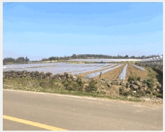  2025Ÿ��7738  �����