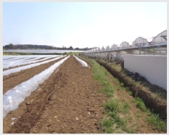  2025Ÿ��7738  �����