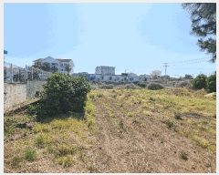  2025Ÿ7757  ֽ ﵿ 1027       (1)