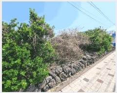  2025Ÿ7757  ֽ ﵿ 1027       (1)