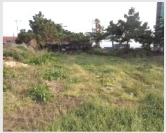  2025Ÿ7757  ֽ ﵿ 1027       (1)