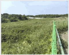  2025Ÿ7850  ֽ  108-3       (Ӿ)