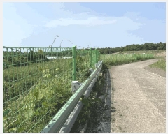  2025Ÿ7850  ֽ  108-3       (Ӿ)