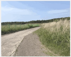  2025Ÿ7850  ֽ  108-3       (Ӿ)