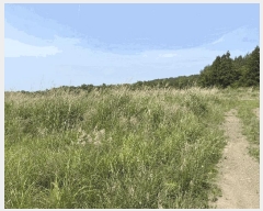  2025Ÿ7850  ֽ  108-3       (Ӿ)