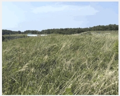  2025Ÿ7850  ֽ  108-3       (Ӿ)