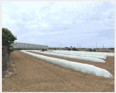  2025Ÿ��7865 ���� �������� ������ �ŵ��� 1944-1      ����(��1)���