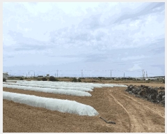  2025Ÿ��7865 ���� �������� ������ �ŵ��� 1944-1      ����(��1)���