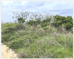  2025Ÿ��7865 ���� �������� ������ �ŵ��� 1944-1      ����(��1)���