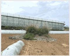  2025Ÿ��7865 ���� �������� ������ �ŵ��� 1944-1      ����(��1)���