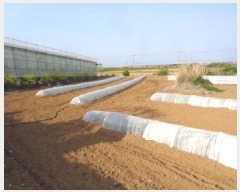  2025Ÿ��7865 ���� �������� ������ �ŵ��� 1944-1      ����(��1)���