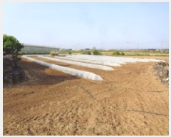  2025Ÿ��7865 ���� �������� ������ �ŵ��� 1944-1      ����(��1)���