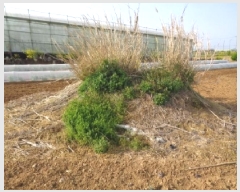  2025Ÿ��7865 ���� �������� ������ �ŵ��� 1944-1      ����(��1)���