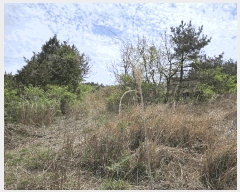  2025Ÿ��7874 ���� ���ֽ� ��õ�� ���긮 ��125      ����(�Ӿ�)���