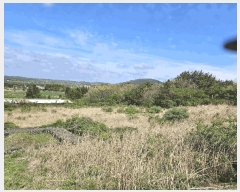  2025Ÿ��7874 ���� ���ֽ� ��õ�� ���긮 ��125      ����(�Ӿ�)���