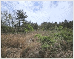  2025Ÿ��7874 ���� ���ֽ� ��õ�� ���긮 ��125      ����(�Ӿ�)���