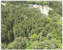  2025Ÿ��7910 ���� ���ֽ� ��� ��95-6       ����(�Ӿ�)���