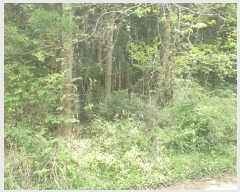  2025Ÿ��7910 ���� ���ֽ� ��� ��95-6       ����(�Ӿ�)���