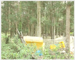  2025Ÿ��7910 ���� ���ֽ� ��� ��95-6       ����(�Ӿ�)���