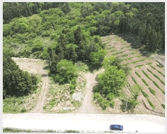  2025Ÿ��7910 ���� ���ֽ� ��� ��95-6       ����(�Ӿ�)���