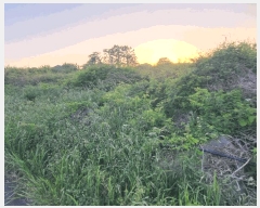  2025Ÿ��7934 ���� ���ֽ� �ֿ��� �ž��� 2691      ����(�Ӿ�)���