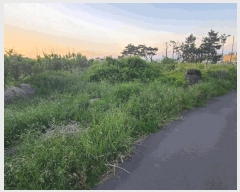  2025Ÿ��7934 ���� ���ֽ� �ֿ��� �ž��� 2691      ����(�Ӿ�)���