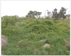  2025Ÿ��7934 ���� ���ֽ� �ֿ��� �ž��� 2691      ����(�Ӿ�)���