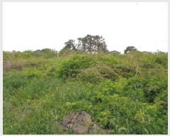  2025Ÿ��7934 ���� ���ֽ� �ֿ��� �ž��� 2691      ����(�Ӿ�)���