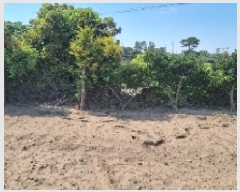  2025Ÿ��7996 ���� ���ֽ� ������ �ѵ��� 2569      ����(�Ӿ�)���