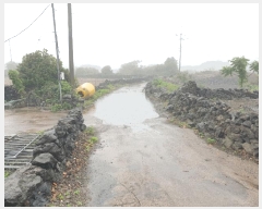  2025Ÿ��7996 ���� ���ֽ� ������ �ѵ��� 2569      ����(�Ӿ�)���