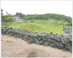  2025Ÿ��7996 ���� ���ֽ� ������ �ѵ��� 2569      ����(�Ӿ�)���