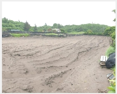  2025Ÿ��7996 ���� ���ֽ� ������ �ѵ��� 2569      ����(�Ӿ�)���