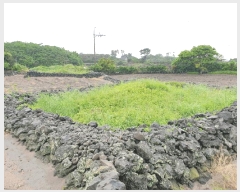  2025Ÿ��7996 ���� ���ֽ� ������ �ѵ��� 2569      ����(�Ӿ�)���