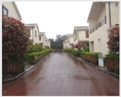  2025Ÿ��8005 ���� ���ֽ� �ֿ��� ������ 939      ���ð��