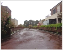  2025Ÿ��8005 ���� ���ֽ� �ֿ��� ������ 939      ���ð��