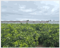  2025Ÿ��8026 ���� �������� ������ ���̸� 12-2      ����,â�����