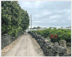  2025Ÿ��8026 ���� �������� ������ ���̸� 12-2      ����,â�����