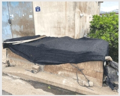  2025Ÿ��8026 ���� �������� ������ ���̸� 12-2      ����,â�����