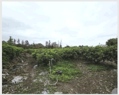  2025Ÿ��8034  ���������