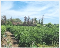  2025Ÿ��8034  ���������