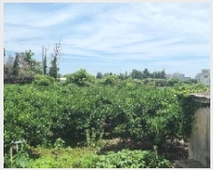  2025Ÿ��8034  ���������