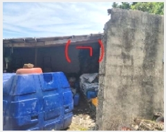  2025Ÿ��8034  ���������