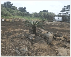  2025Ÿ��8063 ���� �������� ������ ������ 266      ���ð��