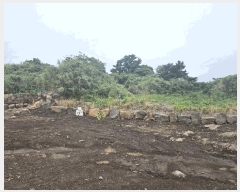  2025Ÿ��8063 ���� �������� ������ ������ 266      ���ð��