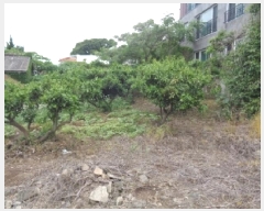  2025Ÿ��8072  �������