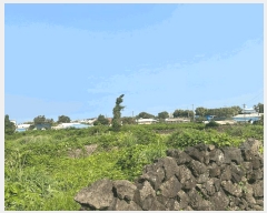  2025Ÿ��8106 ���� �������� ��ȿ�� 877       ����(������)���