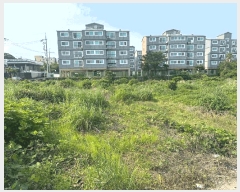  2025Ÿ��8106 ���� �������� ��ȿ�� 877       ����(������)���